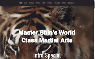 Master Shin's World Class Martial Arts of North Andover website
