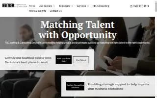 TEC Staffing & Consulting Services, LLC website