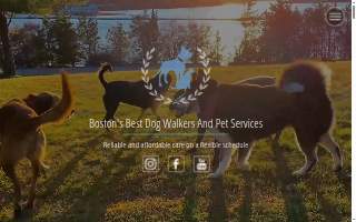 Boston's Best Dog Walkers And Pet Services