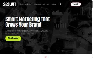 SEOLVIT - Growth Marketing Agency of Revere website
