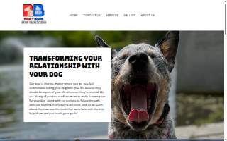 Red and Blue Dog Training
