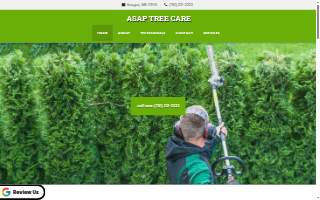 ASAP Tree Care