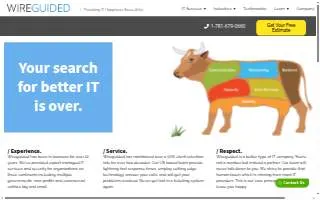 Wireguided website