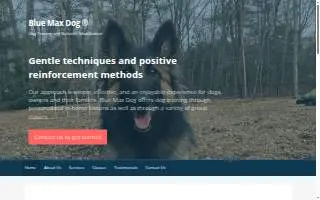 Blue Max Dog of Sharon website