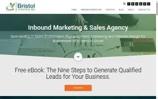 Bristol Strategy, Inc. website