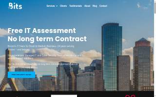 Boston IT Services