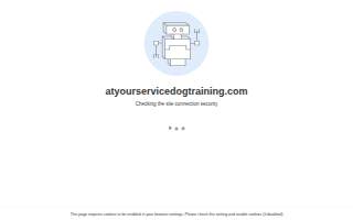 At Your Service Dog Training