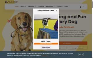 Pack of Paws Dog Training