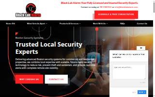 Black Lab Alarm of Stoneham