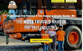 Walnut Tree Service