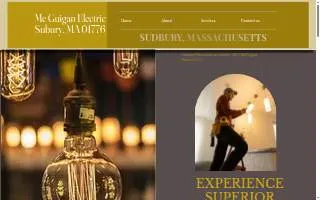 Mc Guigan Electric LLC website