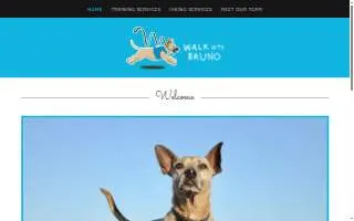 Walk With Bruno of Sudbury website
