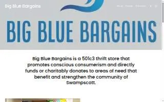 Big Blue Bargains website