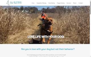 All In Stride Dog Training