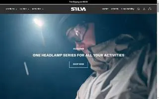 Silva Associates Real Estate website