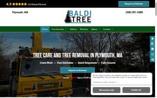 Baldi Tree of Wareham