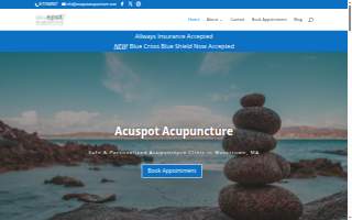 acuSPOT acupuncture