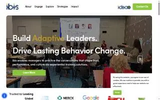 IBIS Consulting Group website