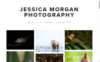 Jessica Morgan Photography