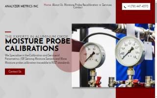 Analyzer Metrics Inc