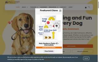 Pack of Paws Dog Training