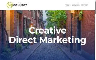 BCG Connect website