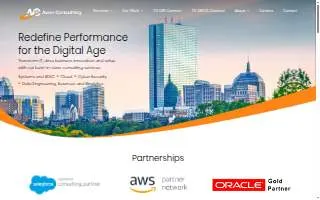 Avco Consulting website
