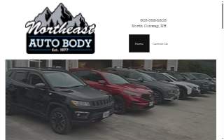Northeast Auto Body Inc