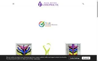 Bass River Chiropractic website