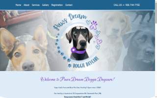 Paws Dream Doggie Daycare