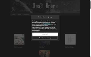 Kush Arora Criminal Defense Attorney