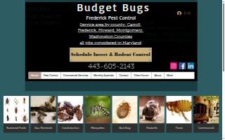 Budget Bugs