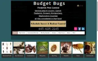 Budget Bugs website
