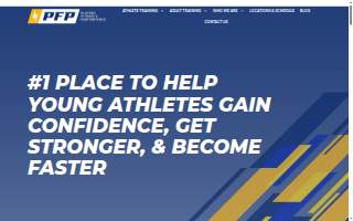 Player's Fitness and Performance