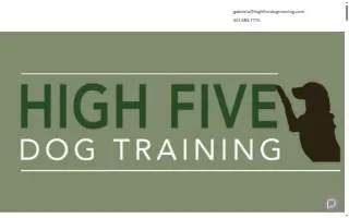High Five Dog Training, LLC of Chillum website