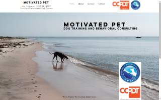 Motivated Pet