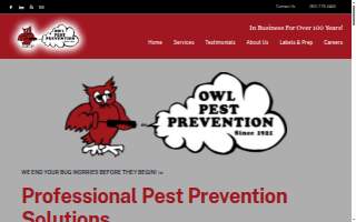Owl Pest Prevention of Chillum
