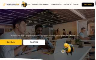 Nubiz Solution