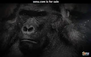 SECU Credit Union of Gaithersburg website