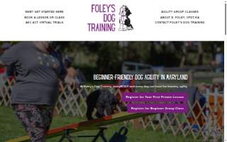 Foley's Dog Training