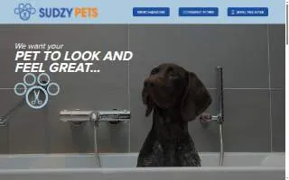 SudzyPets Mobile Grooming website