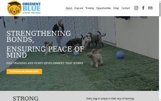Obedient BLUE “School for dogs” of Owings Mills
