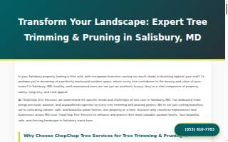 Chop Chop Tree of Salisbury
