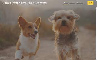 Silver Spring Small Dog Boarding