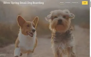 Silver Spring Small Dog Boarding website