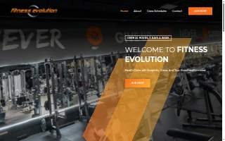 Fitness Evolution