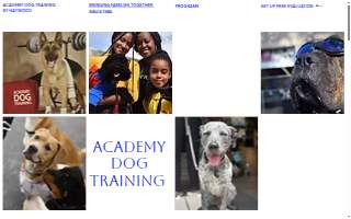 Academy Dog Training of Takoma Park