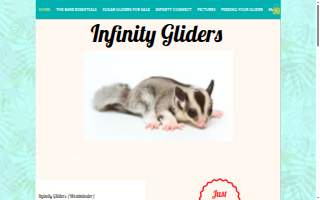 Infinity Gliders