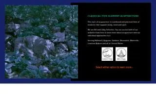 Bill Schecher, Elizabeth Schecher, Acupuncturists website