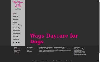 Wags Daycare for Dogs